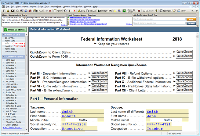 ProSeries Federal Information Worksheet