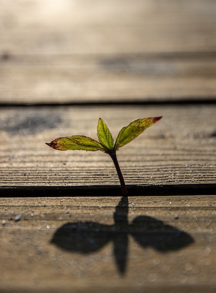 Managing life changes in financial planning